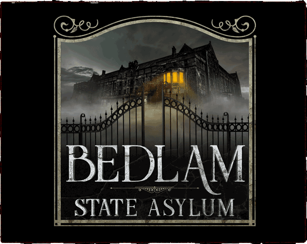 Bedlam Asylum at Pure Terror Scream Park