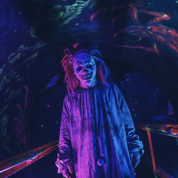 clown_full_body_wordpress_optimized clown_full_body_wordpress_optimized